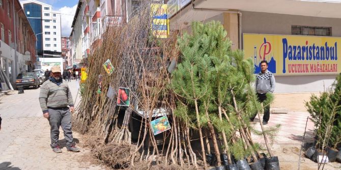 Sorgun’da Fidan Satışları Başladı