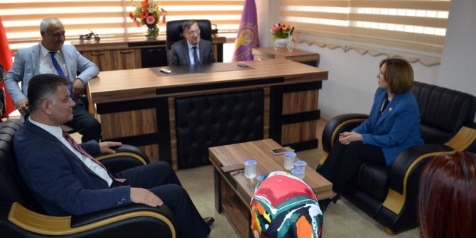 Mhp’li Depboylu Didim’de Ziyaretlerde Bulundu