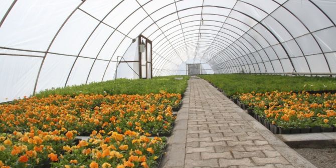 Erzincan Belediyesi Şehri Çiçeklerle Donatıyor