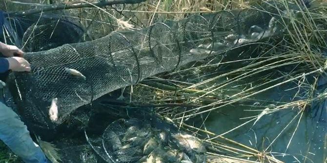 Aydın’da Su Ürünleri Denetimleri Devam Ediyor