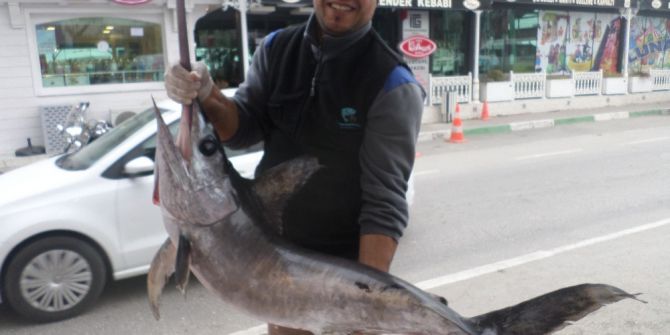 Balıkçıların Ağlarına Dev Kılıç Balığı Takıldı
