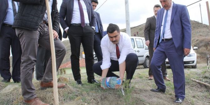 15 Temmuz Şehitleri Hatıra Ormanına Gidan Dikildi