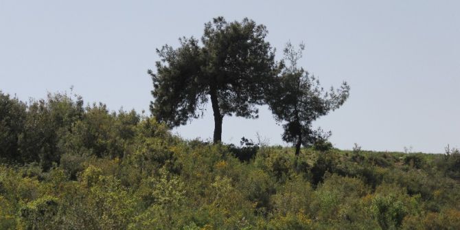 2 Yıl Sonra Başsız Cesedini Gördüler