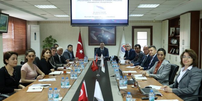 Türkiye’de İlk Kez Mersin’de Limonda Tespit Edilen Thrips Zararlısıyla Mücadele Başlıyor