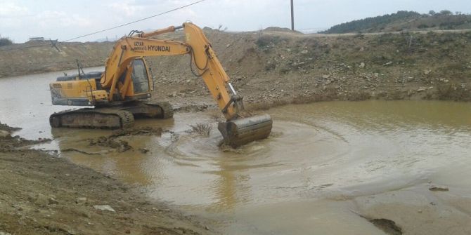 Hayvanlar Daha Temiz Su İçecek