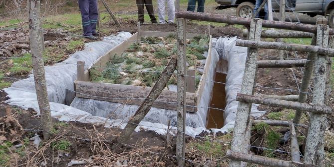 Çanakkale’de Çam Kese Böceği Mücadelesi Sürüyor