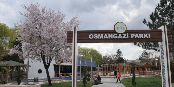 Bozüyük’te Baharın Müjdecisi Ağaçlar Çiçek Açtı, Parklar Renklendi