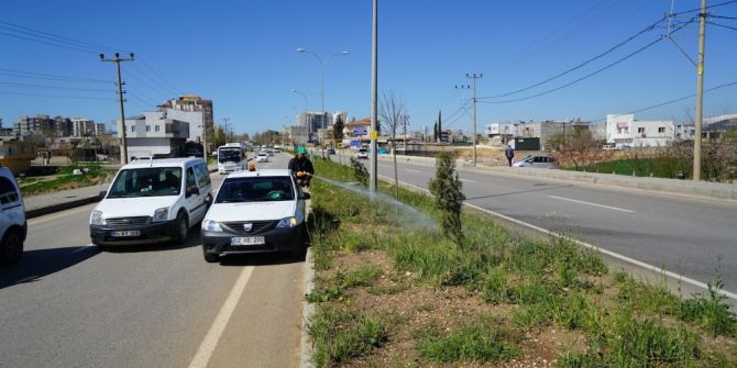 Atatürk Bulvarı Yabani Otlardan Temizleniyor