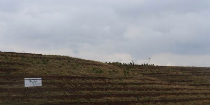 Kaymakam Gözen Bereket Ormanı’nı İnceledi