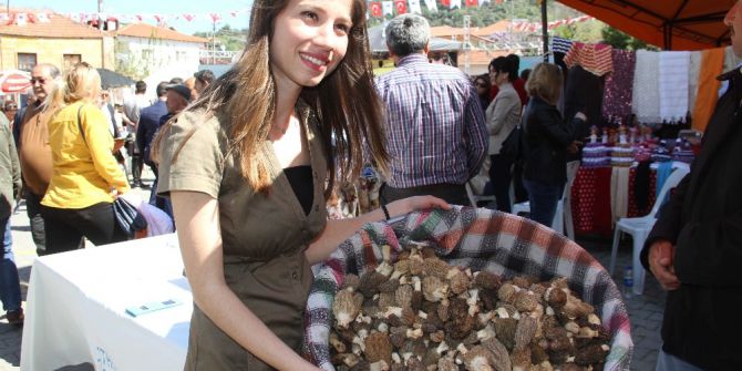 Fethiye’de Kuzugöbeği Mantarı Festivali Başladı