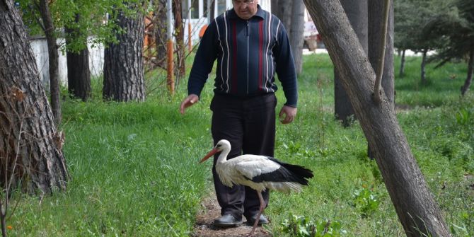 Yaralı Leyleğe Karayolları İşçileri Sahip Çıktı