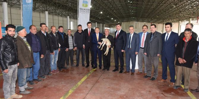 Büyükşehirden Hayvancılığa Destek