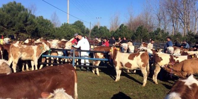 Gıda, Tarım Ve Hayvancılık İçin 8 Milyonluk Proje