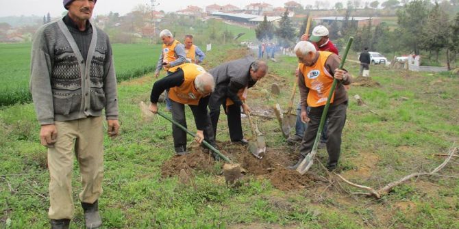 Malkara’da 250 Fidan Toprakla Buluştu
