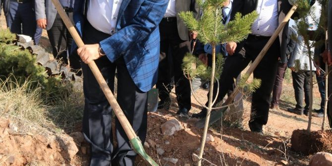 Aksaray Zabıtasından Şehitler Anısına Fidan
