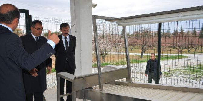 Kayısıda Yeni Sistem