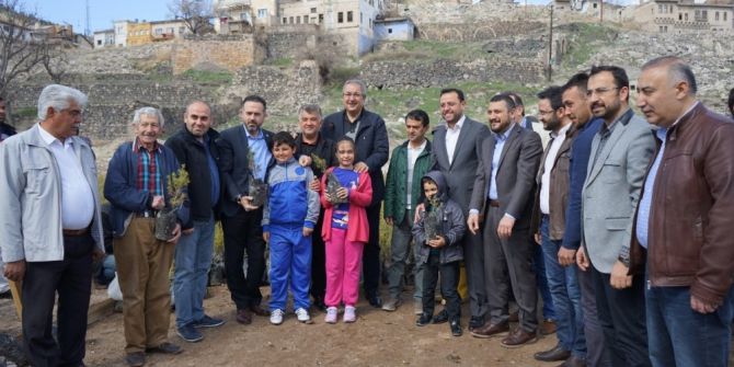 Nevşehir’de 30 Bin Sedir Çam Fidanı Dağıtıldı