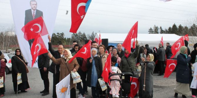 İsveç’te Türk Seçmenler, Referandum İçin Sandık Başında