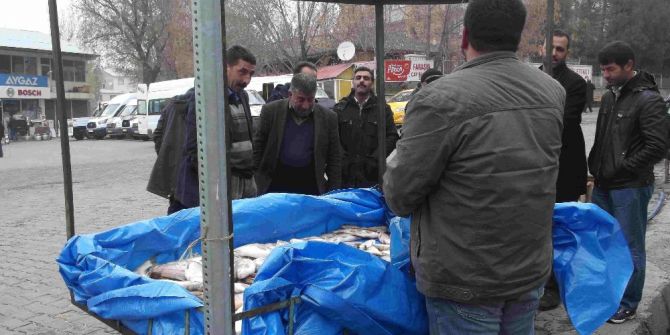 Varto’da Vatandaşlar Balığa Yöneldi