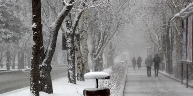 Erzurum Ve Erzincan’a Lapa Lapa Kar Yağdı