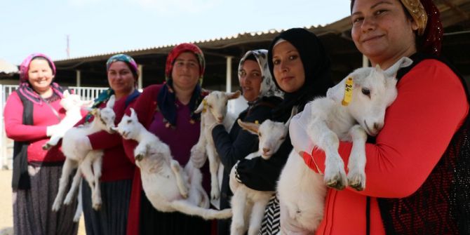 45 Kadına Uygulamalı Çobanlık Eğitimi