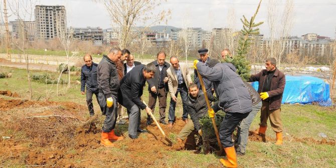 Muş’ta Fidan Dikimi