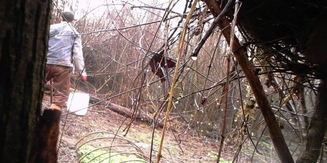 Bolu’da Jandarmadan Hint Keneviri Operasyonu