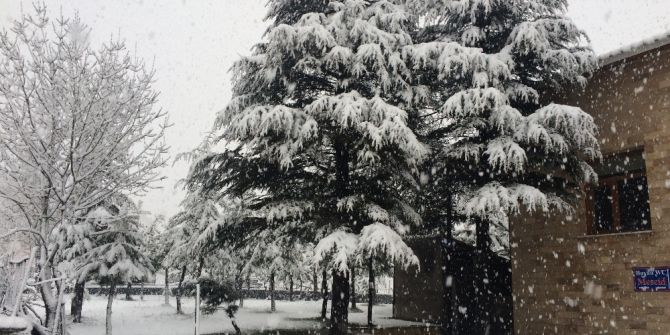 Bitlis’te Nisan Ayında Lapa Lapa Kar Yağdı