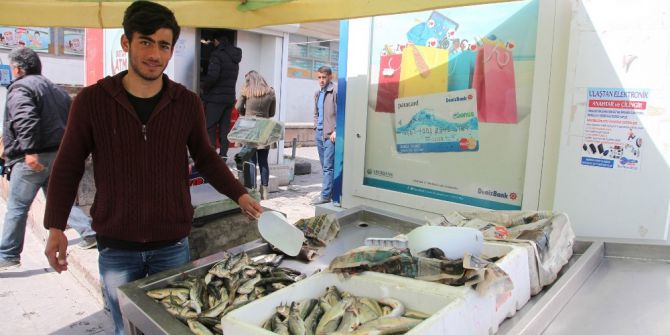 Av Yasağı Öncesi İnci Kefaline Talep Arttı