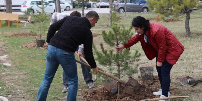 Sivas’ta ’Epilepsi Farkındalığı Hatıra Ormanı’ Oluşturuldu