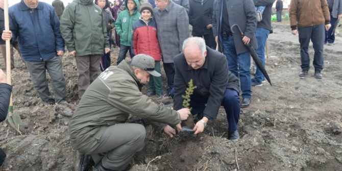 Kütahya’da 3 Bin Fidan Toprala Buluştu