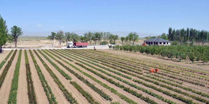 Tuzlukçu Fidanlığı İstihdama Ve Üretime Katkı Sağlıyor