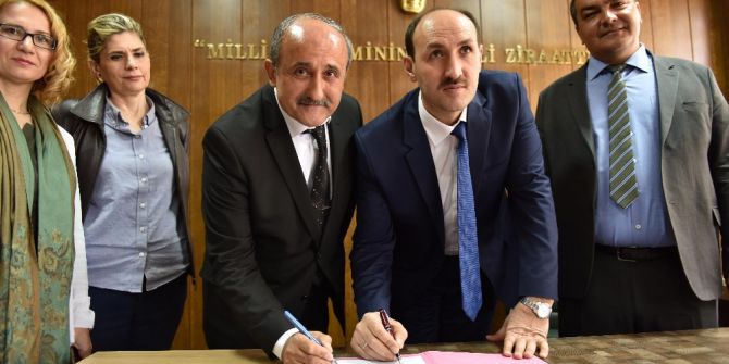 Adanalı Çiftçiye Aşı Ve İlaç Desteği