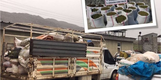 Diyarbakır’da 3 Ton Esrar Ele Geçirildi