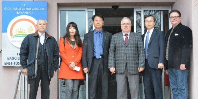 Güney Koreli Araştırmacılar Tekirdağ Bağcılığını İnceledi