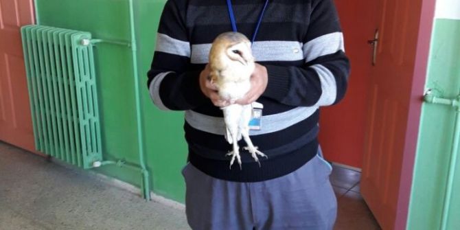 Kapıdan Kovuyorlar, Bacadan Giriyor