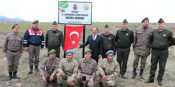 Yozgat’ta Jandarma Ekipleri Hatıra Ormanı Oluşturdu