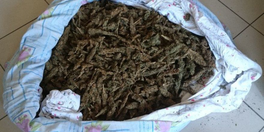 Uyuşturucu Taciri Yakalandı