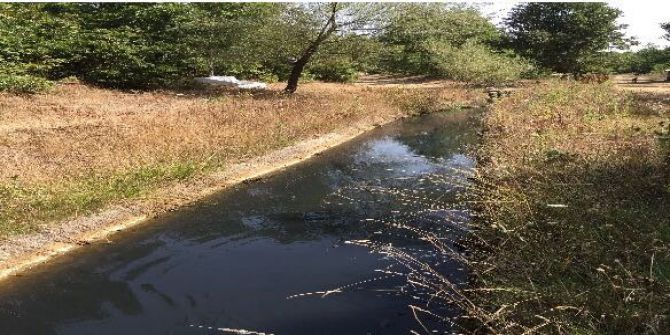 Yenice Tarım Şehri Olma Yolunda