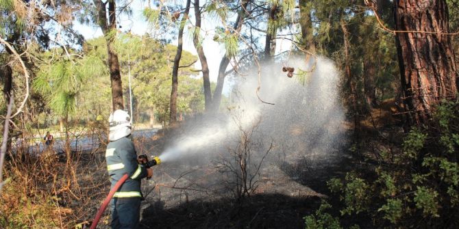 Manavgat’ta Orman Yangını