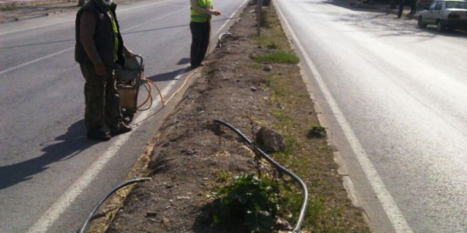 Seydişehir Belediyesinden Yabani Otla Mücadele