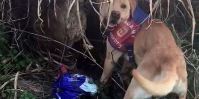 Uyuşturucuyu Mezarlık İçinde Saklamışlar