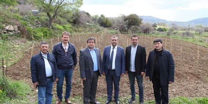 Gökçeada Arısının Islahı Ve Korunması Toplantısı Düzenlendi