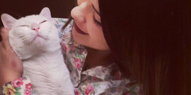 Nöbet Geçiren Kedisine 20 Bin Lira Harcadı