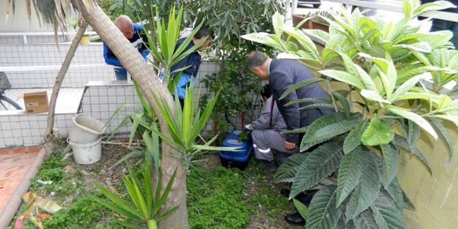 “Kirpi” Harekâtı