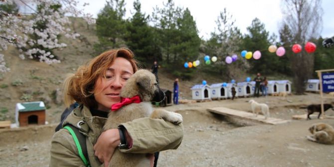 500 Sokak Köpeği İçin Seferber Oldular