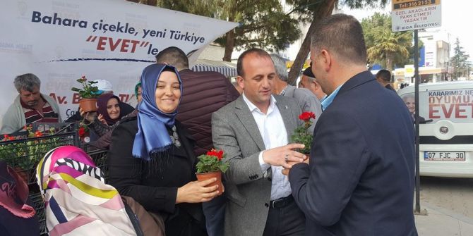 Biga’da 4 Bin Adet Çiçek Dağıtıldı