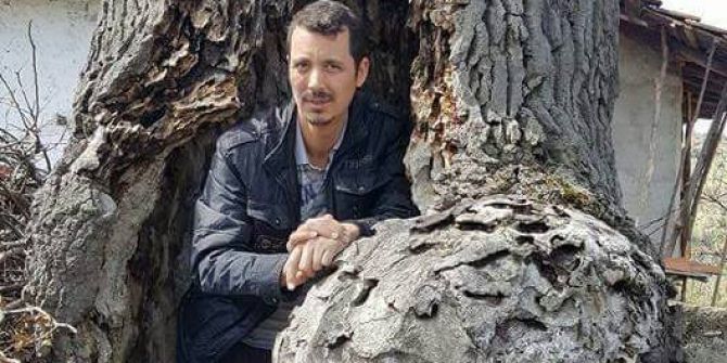 5 Asırlık Meşe Ağacı