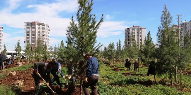 Bağlar Belediyesinden Yeni Yeşil Alanlar