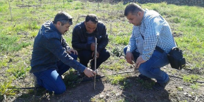 Yunusemre’de Organik Bağcılık Eğitimi